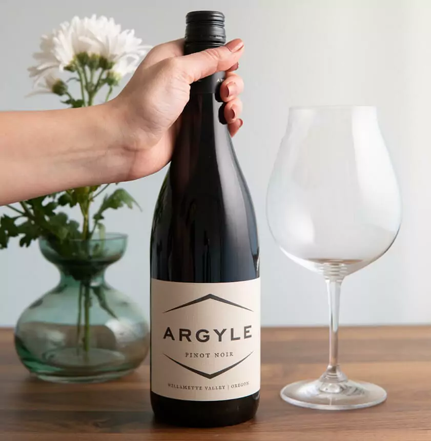 2021 Willamette Valley Pinot Noir <br><em>91 Point